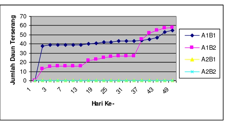 Gambar 2.  Grafik akumulasi jumlah daun terserang penyakit hawar pada bibit suren. Perlakuan: diinokulasi dan dilukai (A1B1), diinokulasi tidak dilukai (A1B2), tidak diinokulasi tetapi dilukai (A2B1), tidak diinokulasi dan tidak dilukai (A2B2) 