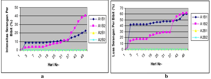 Gambar 3. Grafik perkembangan penyakit hawar daun pada bibit suren. a: intensitas 