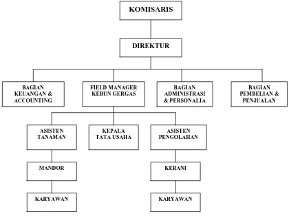 Gambar 3.1 Struktur Organisasi PT. Gergas Utama 
