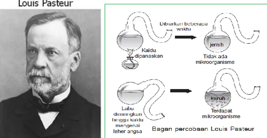 Gambar  5. Percobaan Louis  Pasteur  Sumber  : www.infolengkap.net  b.  Penelitian  Terbaru 