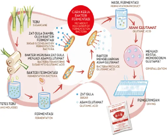 Gambar 1. Diagram alir dan cara kerja bakteri 