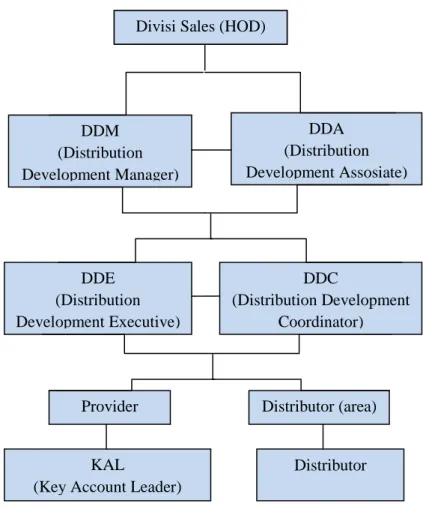 Gambar 3.8. Struktur Organisasi P.T Nutrifood Surabaya  Sumber : wawancara BDM (Business Development Manager)