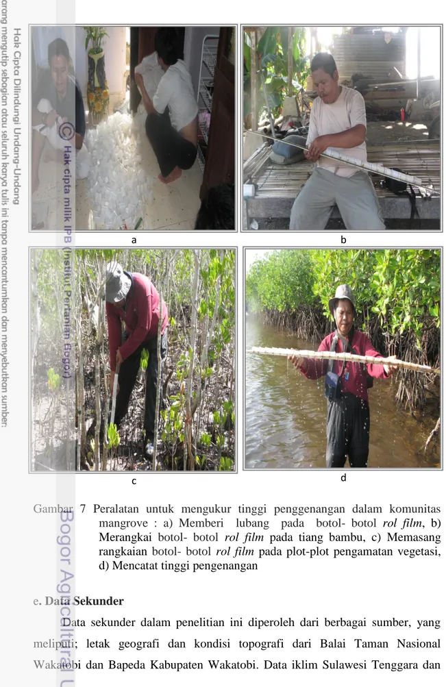 Gambar  7  Peralatan  untuk  mengukur  tinggi  penggenangan  dalam  komunitas  mangrove  :  a)  Memberi    lubang    pada    botol-  botol  rol  film,  b)  Merangkai  botol-  botol  rol  film  pada  tiang  bambu,  c)  Memasang  rangkaian  botol-  botol  ro