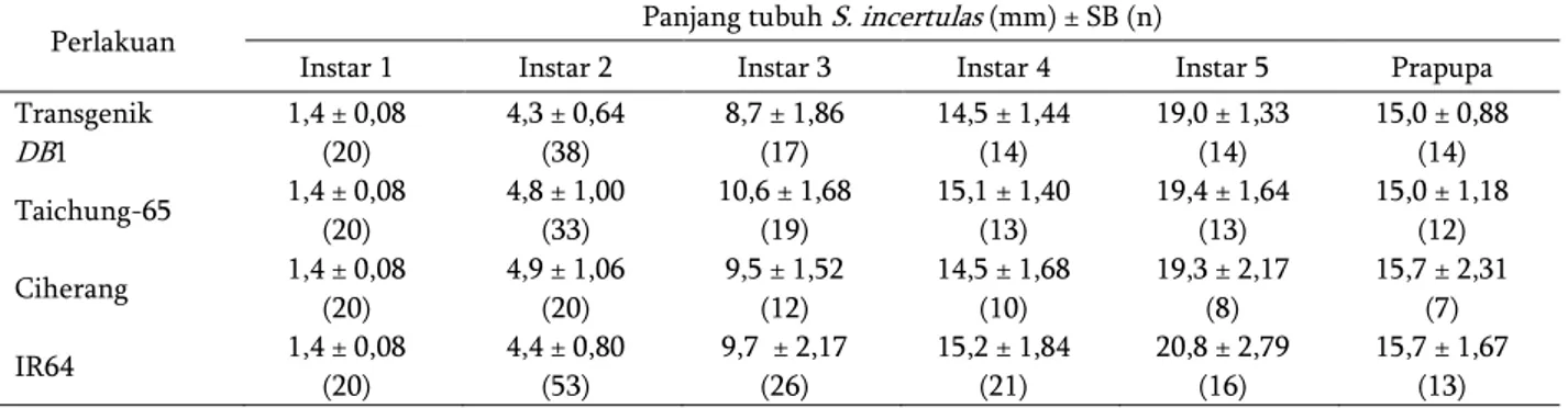 Tabel 6. Rata-rata panjang tubuh  S. incertulas . 