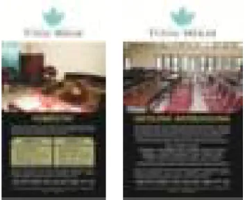 Gambar 3. Layout Leaflet Pondok Wisata Tunas Mekar