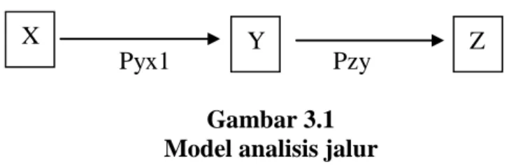 Gambar 3.1  Model analisis jalur 