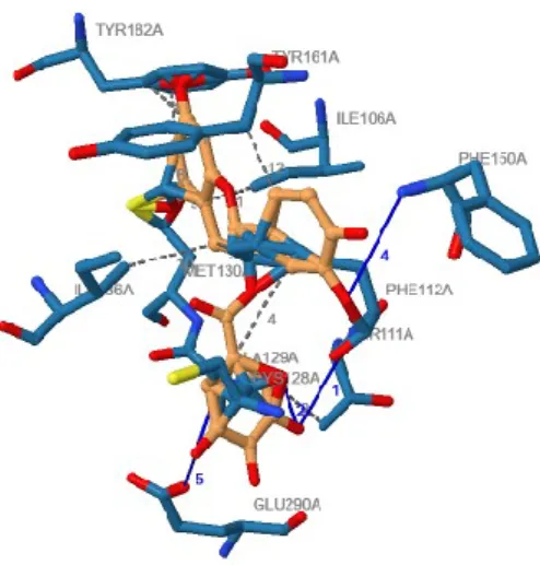 Gambar 2. Visualisasi Docking ligan CG dengan reseptor  Pada  gambar  2  dapat  dilihat  interaksi 