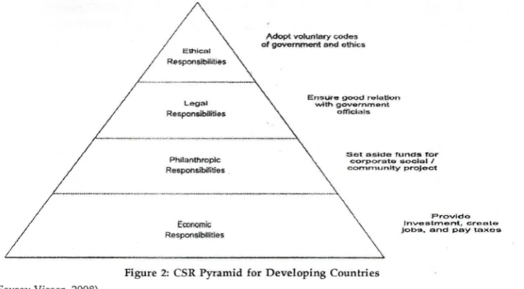 Figure 2: C-SR Pltamid for Developing Countr:ies