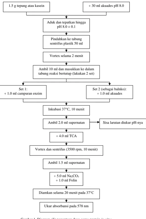 Gambar 1. Diagram alir penentuan daya cerna protein in vitro 