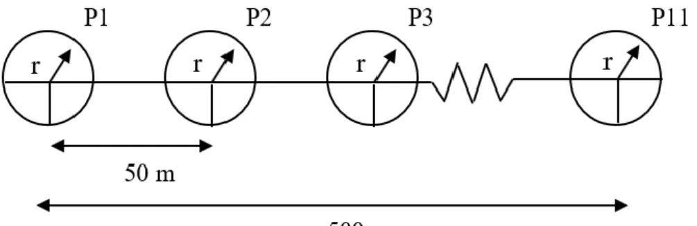 Gambar 2. Bentuk pengamatan dengan metode point count.  Keterangan: P (point) = titik pengamatan; r 