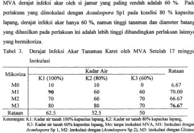 Tabel 3. Derajat lnfeksi Akar Tanaman Karet oleh MYA Setelah 17 minggu 