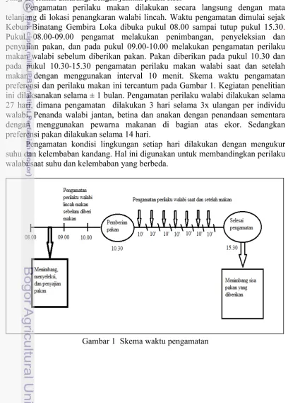 Gambar 1  Skema waktu pengamatan 