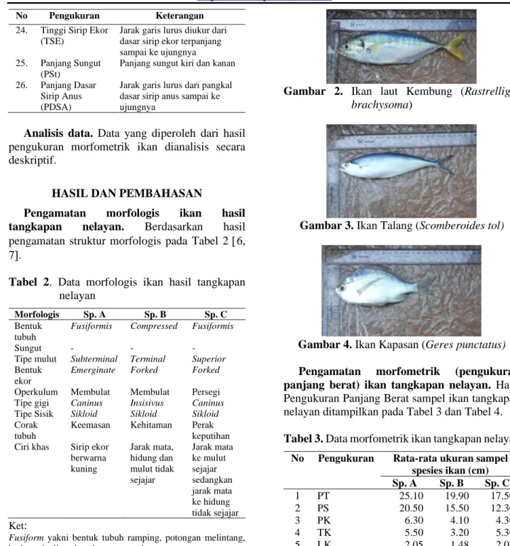 Tabel  2.  Data  morfologis  ikan  hasil  tangkapan  nelayan 