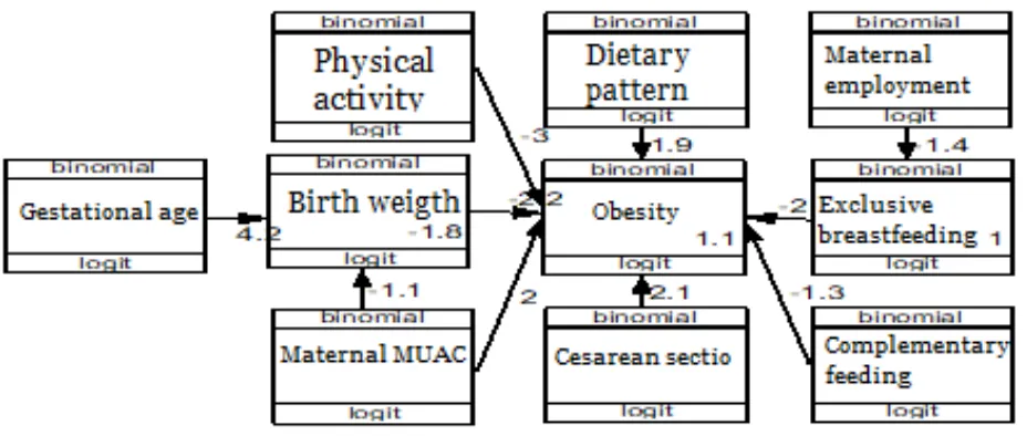 Figure 1. Structural model of path analysis 