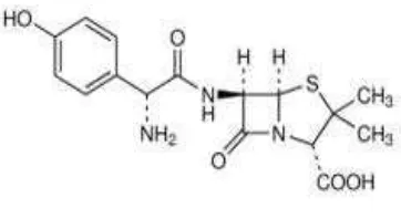 Gambar 2.2. Struktur Amoksisilin 