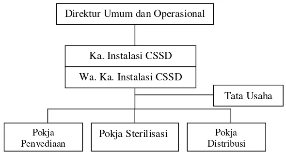 Gambar 3.2  Struktur Organisasi Instalasi CSSD RSUP H. Adam Malik Medan 