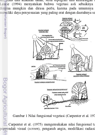 Gambar 1 Nilai fungsional vegetasi (Carpenter et al. 1975) 