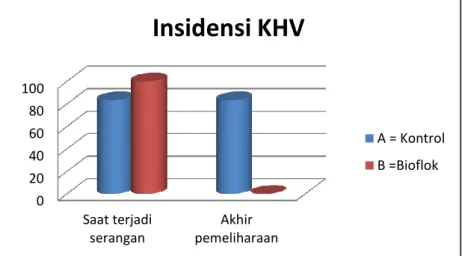 Gambar 7. Diagram persentase insidensi penyakit KHV pada ikan mas. A= Kontol (tan- (tan-pa perlakuan), B= Bioflok 020406080100Saat terjadiserangan Akhir pemeliharaan Insidensi KHV  A = KontrolB =Bioflok