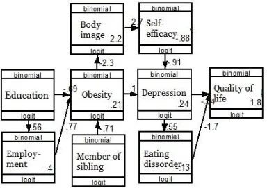 Table 2. The path analysis result of psychosocial impacts of obesity or overwight on adolescents 
