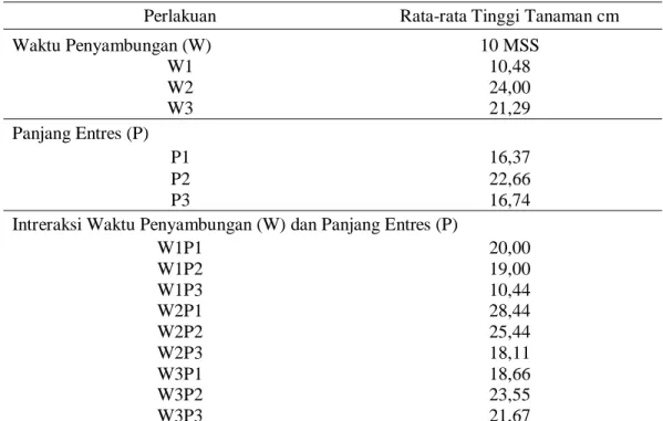 Table  3.  Rataan  Tinggi  Tanaman(cm)  pada  waktu  Penyambungan  dan  Panjang  Entres  yang berbeda