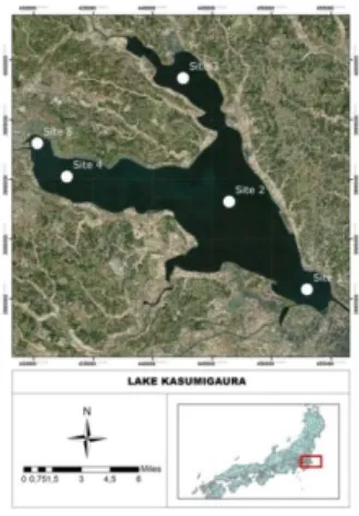Gambar 2.1. Lokasi Danau Kasumigaura, Jepang  (USGS 2018) 