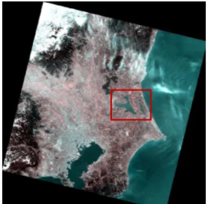 Gambar 4.6. Citra Landsat-8 L1T 