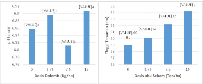Gambar 1.  Pengaruh penambahan abu sekam (ton/ha) terhadap tinggi tanaman (cm), dan   dolomit (Kg/ha) terhadap pH tanah pada umur 40 hari dari tanam