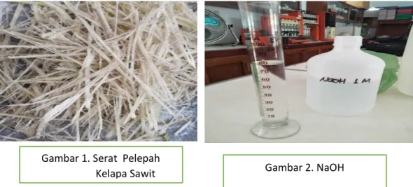 Gambar 1. Serat  Pelepah                      Kelapa Sawit 