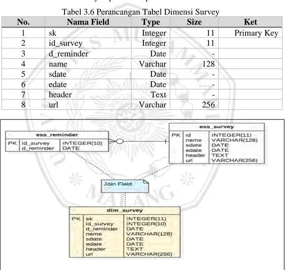 Tabel dimensi survey adalah tabel dimensi yang diperbarui secara periodik  setiap  tahun  dengan  menggunakan  perangkat  penjadwalan  (scheduler)