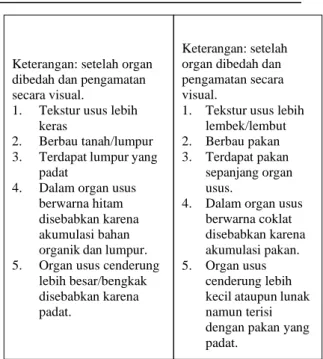 Tabel 5. Komposisi organ usus ikan patin penyebab  muddy taste dan tidak muddy taste 