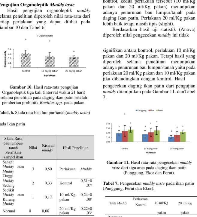 Gambar 11. Hasil rata-rata pengecekan muddy  taste dari tiga area pada daging ikan patin 