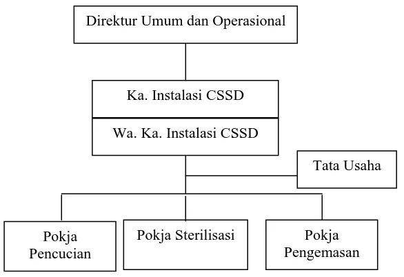 Gambar 3.3 Struktur Organisasi Instalasi Central Sterilized Supply Department  