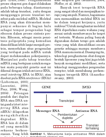 Gambar 1. Mekanisme kerja antisense RNA dalam