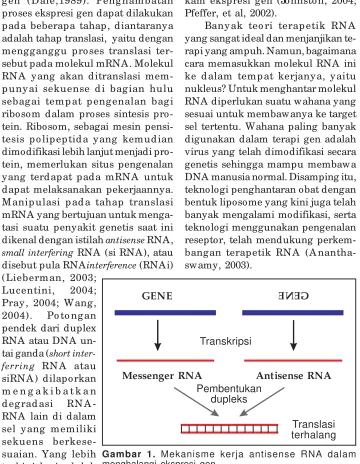 Gambar 1. Mekanisme kerja antisense RNA dalam