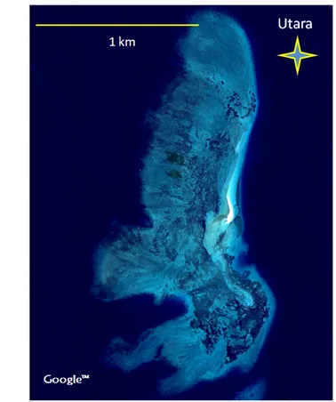 Gambar 14  Rataan terumbu P. Bone Batang (Sumber: Google Earth 2008 ).  Kondisi oseanografi di sekitar Kepulauan Spermonde memiliki pengaruh  yang besar terhadap proses pembentukan Pulau Bone Batang