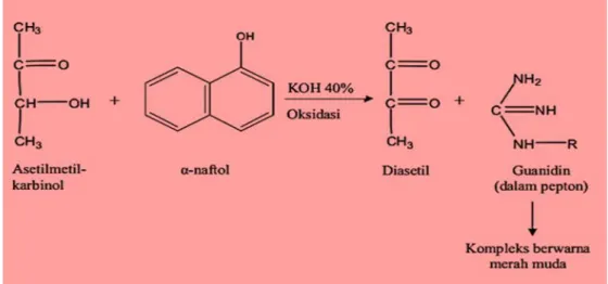 Gambar 5. Deteksi senyawa asetilmetilkarbinol (Cappucino dan  sherman,2005) 