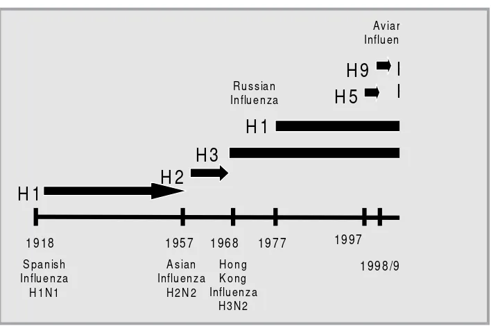Gambar 1. Beberapa subtype virus influenza A yang menjadi penyebabwabah pandemi.