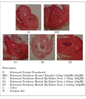Gambar 1. Struktur histologi mamae tikus prepubertal setelah perlakuan 16 hari(Perbesaran 100x)
