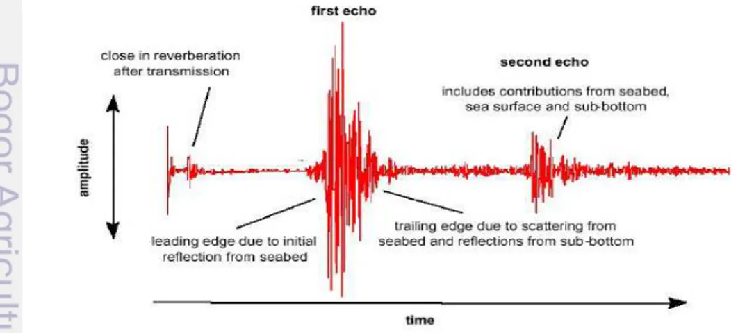 Gambar 7  Output yang dihasilkan oleh echosounder dalam sistem RoxAnn.  Sumber: Penrose et al