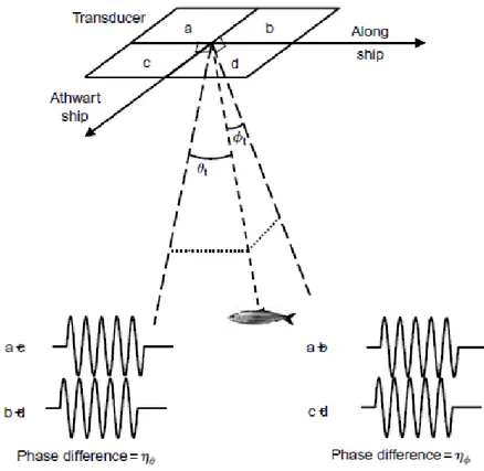 Gambar 10  Prinsip kerja dari echosounder split-beam. 