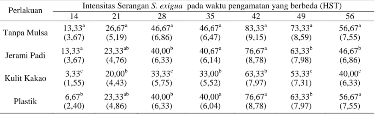 Tabel 1. Rata-Rata Intensitas Serangan S. exigua pada Tanaman Bawang Merah pada Mulsa Berbeda 