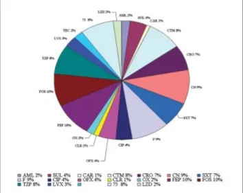 Gambar 1. Persentase (%) Sensitivitas Bakteri Terhadap Berbagai Antibiotika