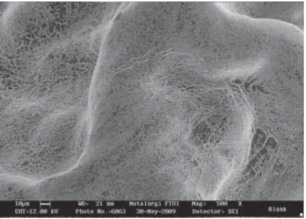 Gambar 2. Foto SEM (perbesaran 500 x) butiran alginat 2%tanpa sel bakteri