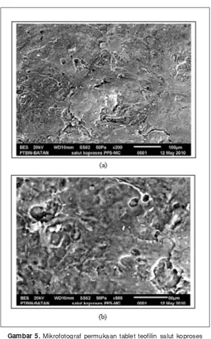 Gambar 5. Mikrofotograf permukaan tablet teofilin salut koprosesPPS – MC 4:1 frekuensi penyalutan 4X dengan perbesaran, (a)200X,(b) 500X