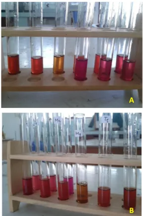 Gambar 1   Perubahan warna selama 0-10  menit  (A)  dan  perubahan  warna setelah 10-60 menit (B) 