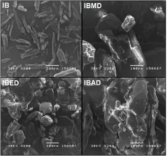 Gambar 1. Hasil pengamatan bentuk-bentuk kristal ibuprofen denganmenggunakan  Scanning Electron Microscopy (SEM) pada perbesaran 200x.