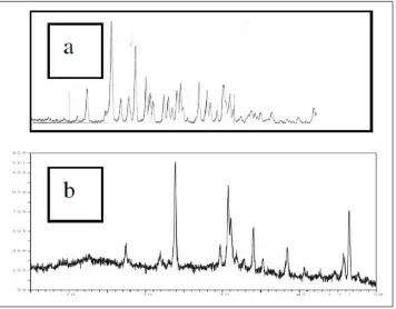 Gambar 2. Foto habit kristal : (a) Amoksisilina trihidrat bahan baku. (b)Amoksisilina beku kering (200x).