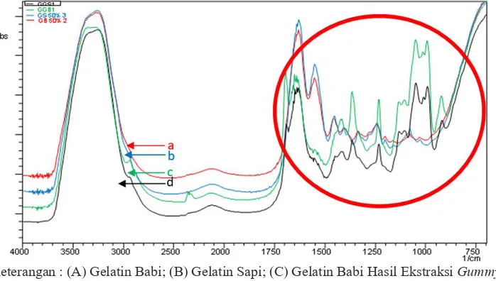 Gambar 2. Hasil Perbandingan Spektrum FTIR Gelatin Sapi dan Babi dengan Gelatin Sapi dan Babi yang Diekstrak dari Simulasi Gummy  Vitamin C