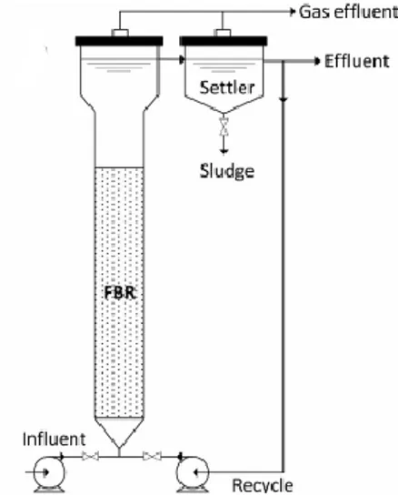Gambar  4.  Ilustrasi  pengolahan  limbah  cair  dengan FBR bioreactor [40] 