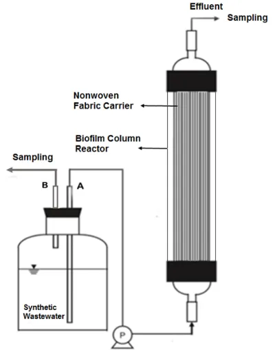 Figure 1. Schematic research equipment of biofilm column reactor 